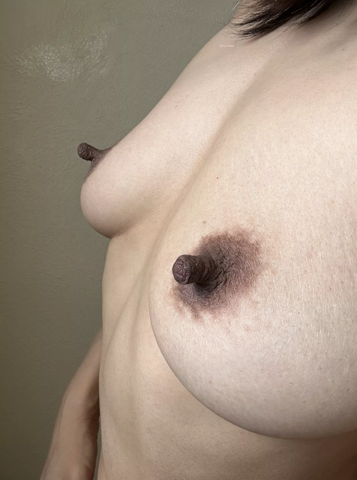 They look lost in thought, but about what? posted by thecaringdoc