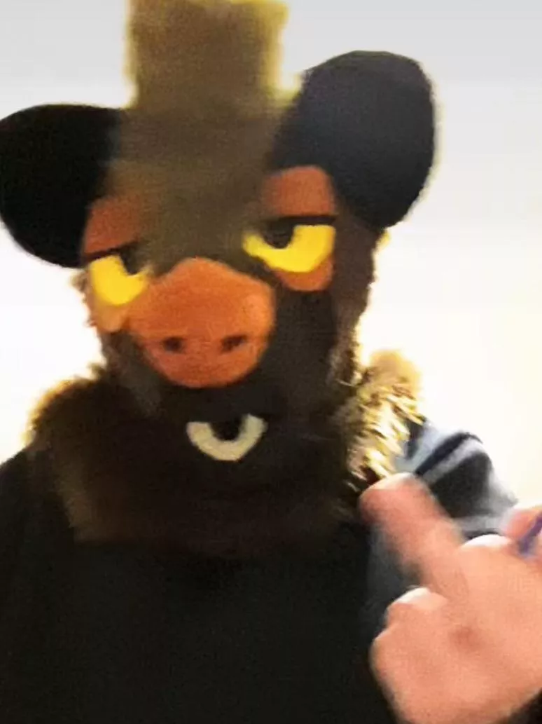 assume things about my fursona :0 posted by pastwrist