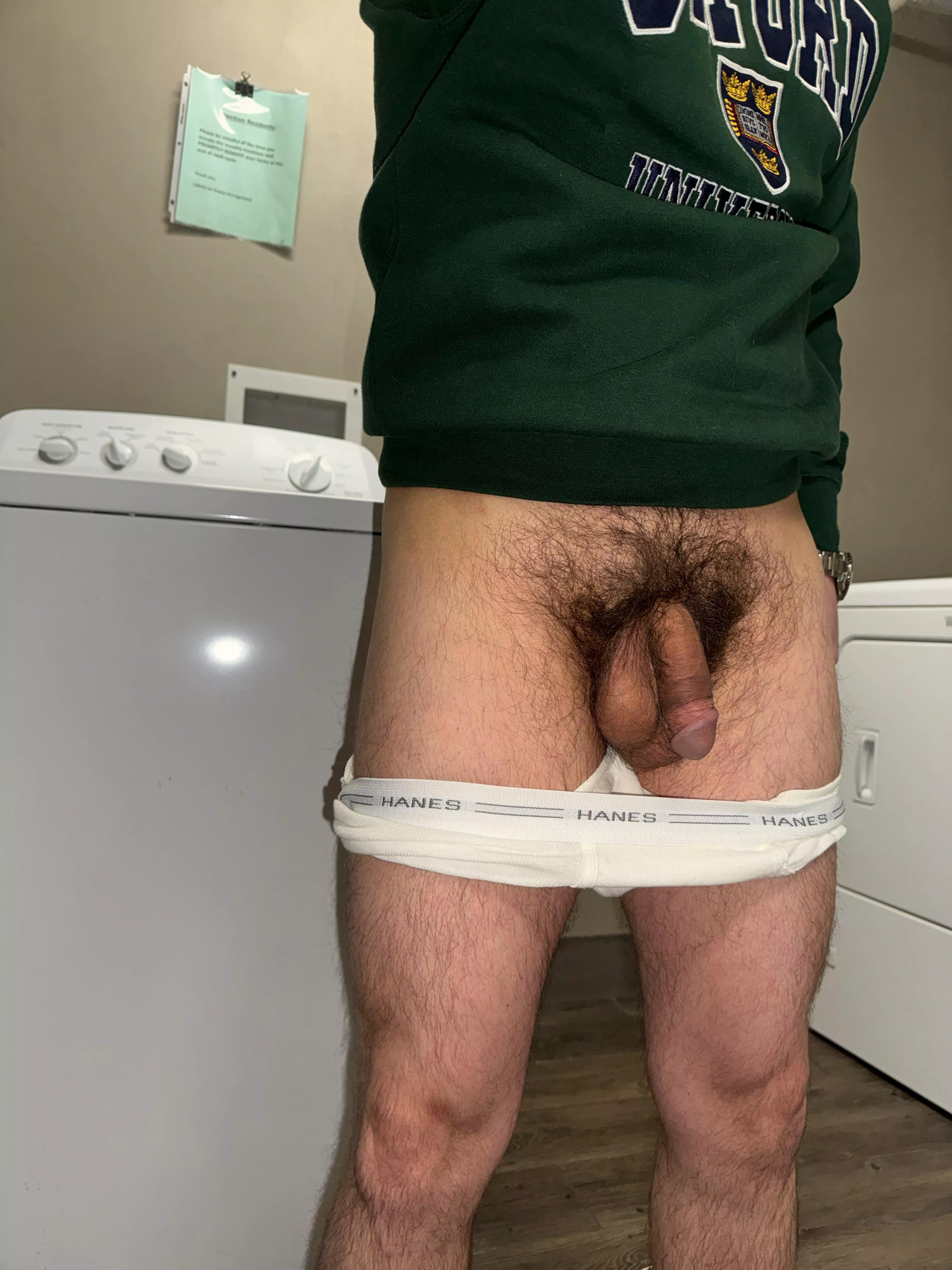 Bushy and soft posted by kleinrivers