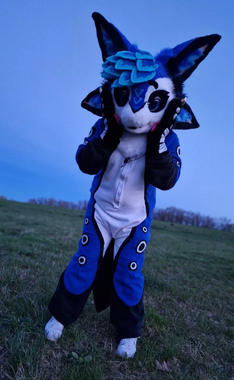 Finally I got my (partial Kigu) Fursuit 💙 im super happy posted by Sylviblue