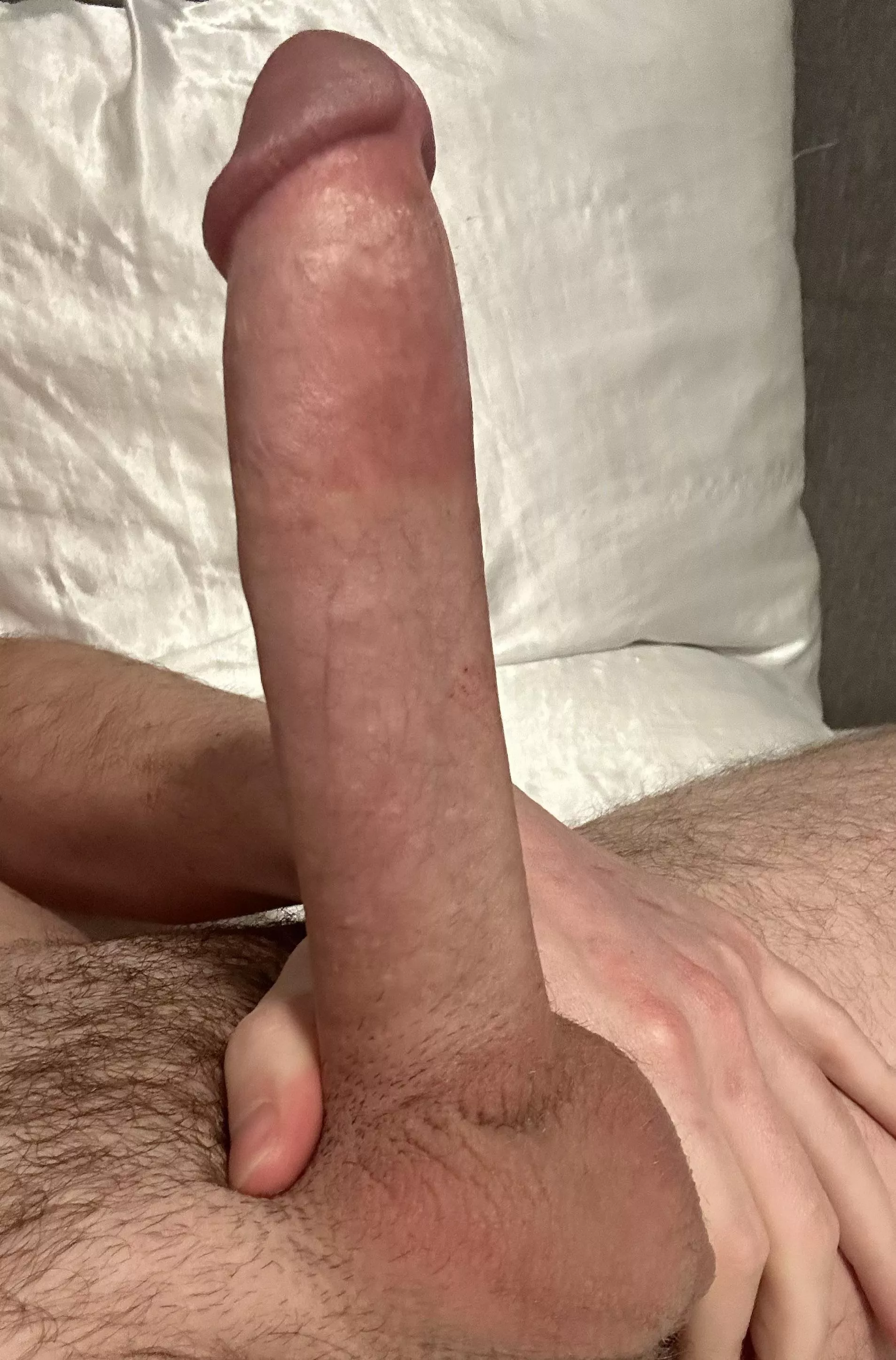 First post didn’t get much response, trying again! posted by ca15poul