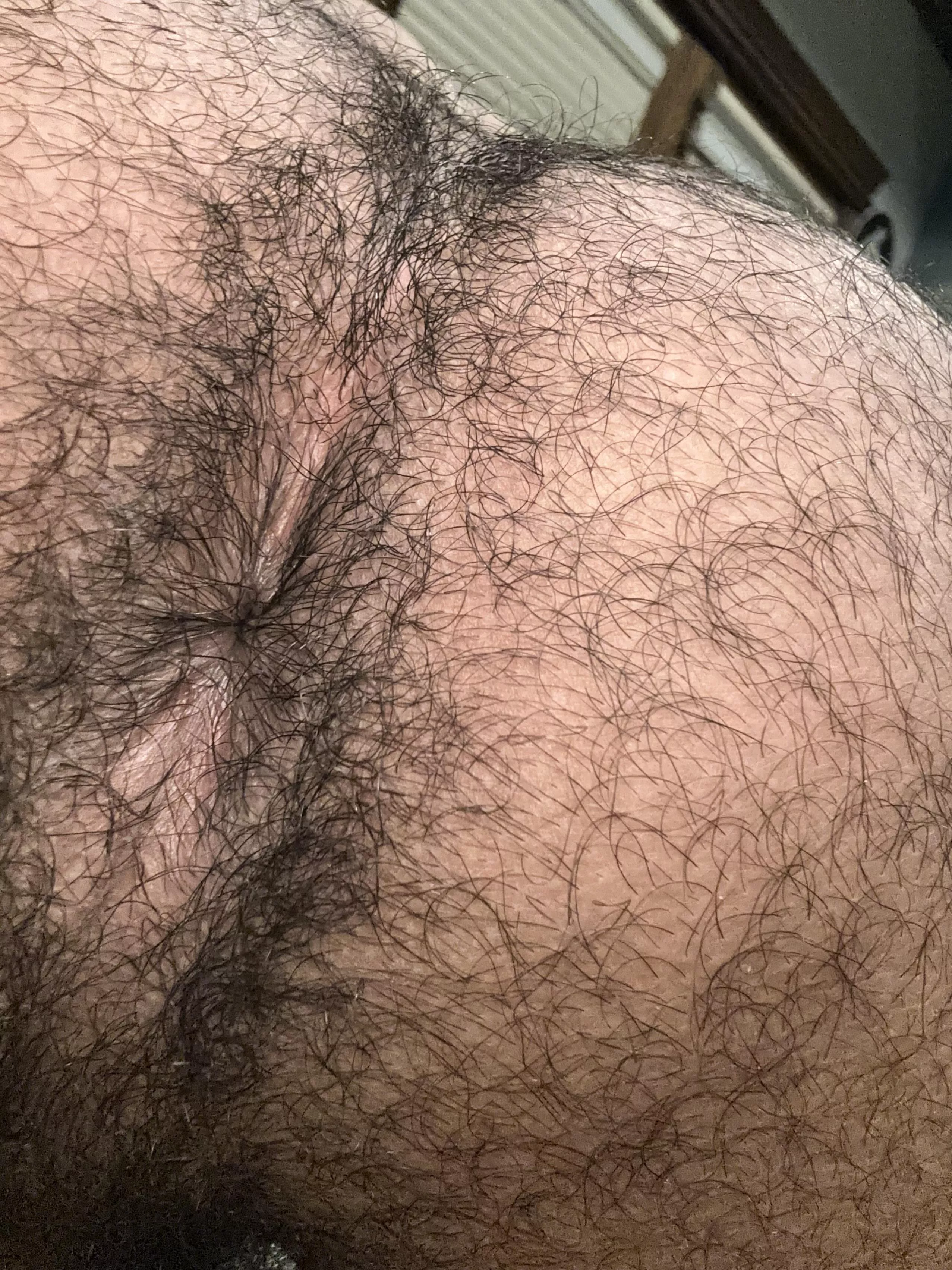 hairy dicks for my hairy hole? posted by Healthy_Product_4361
