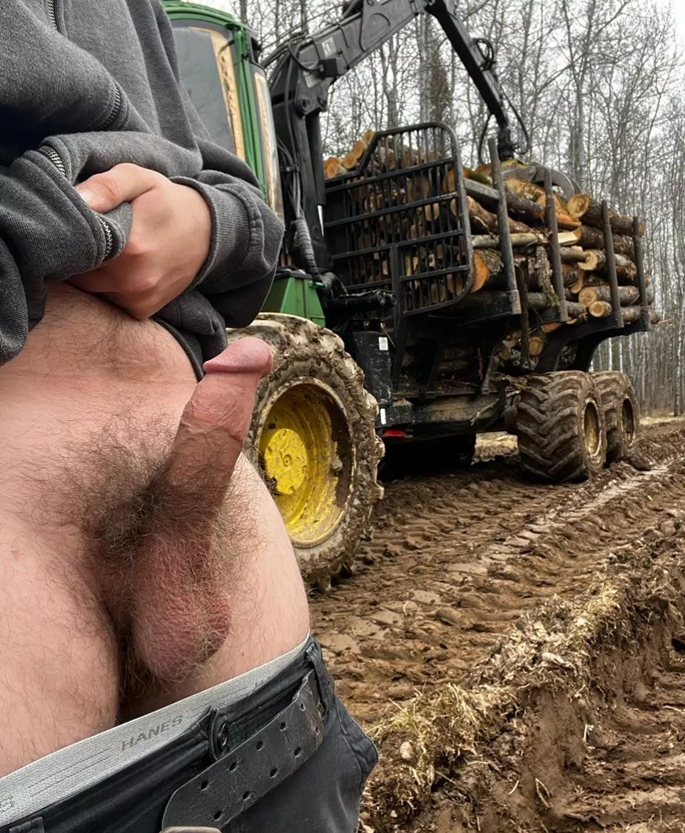Hard at work, or *Hard* at work? posted by farmer62