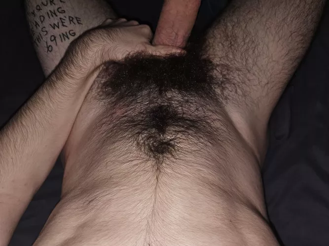 Is bush big enough? by doctor003