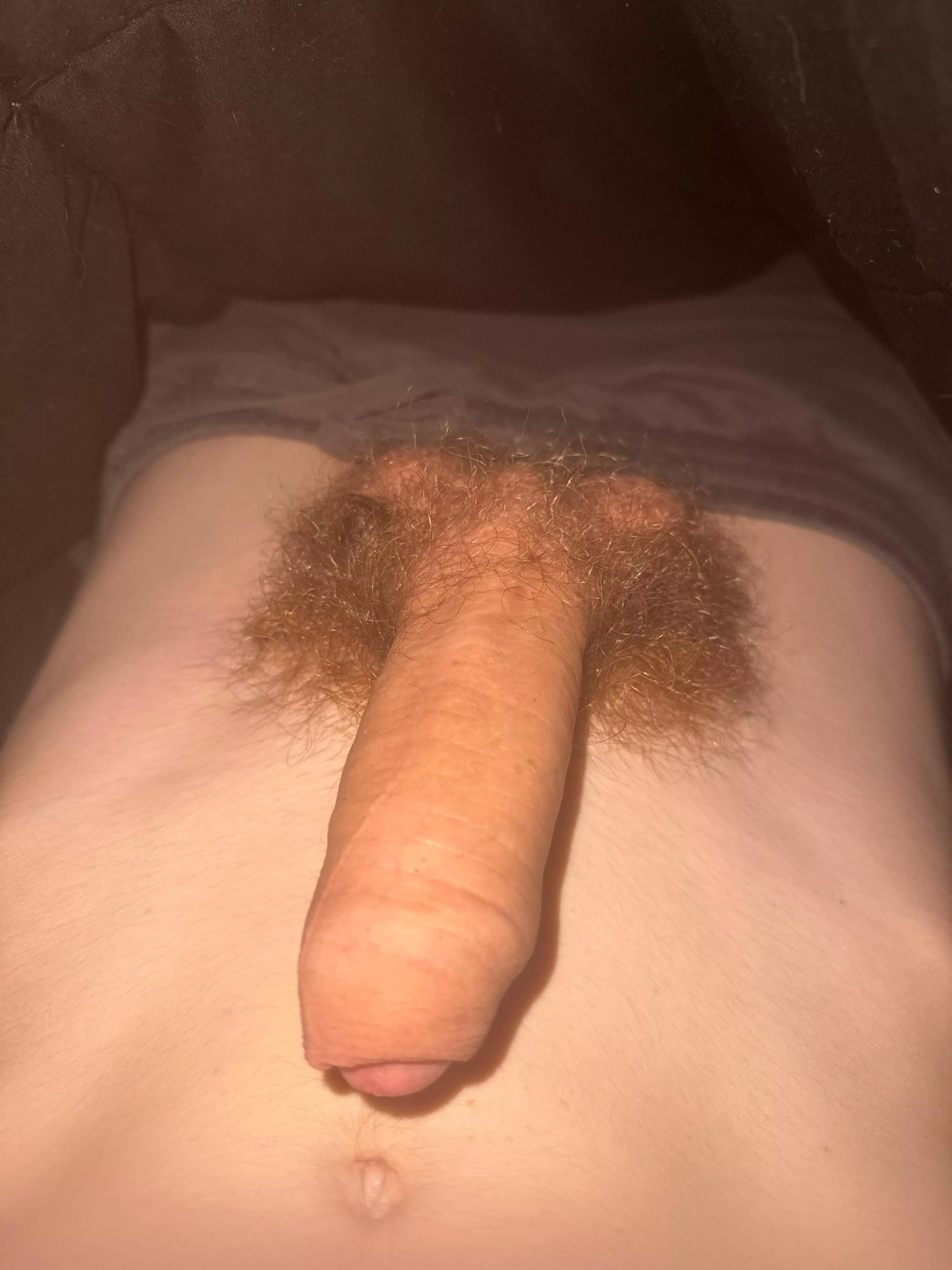 is my dick hot? dm posted by NoWerewolf9816