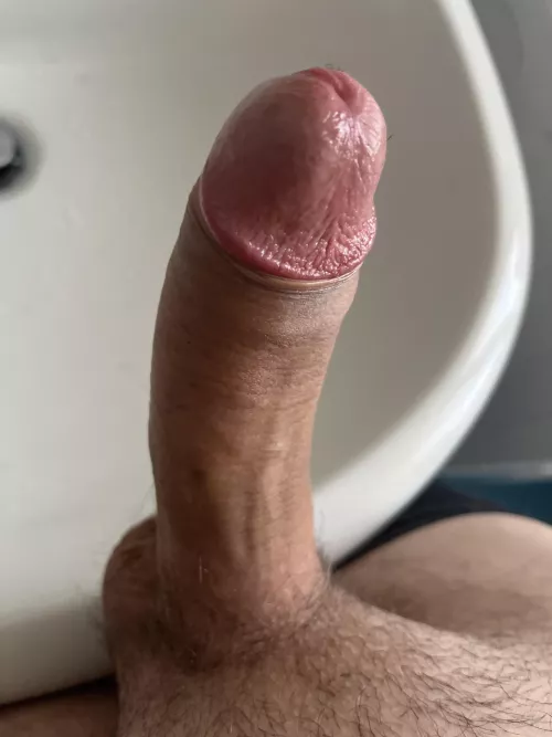 Just trimmed by EastWestIT