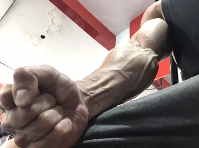 Let's do a forearm routine in the gym by TattooedMuscled