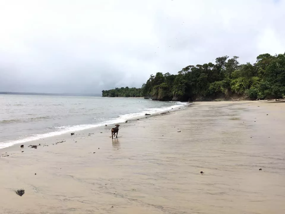 Malaga beach - (Pacific Colombia) posted by Pankekitaomg