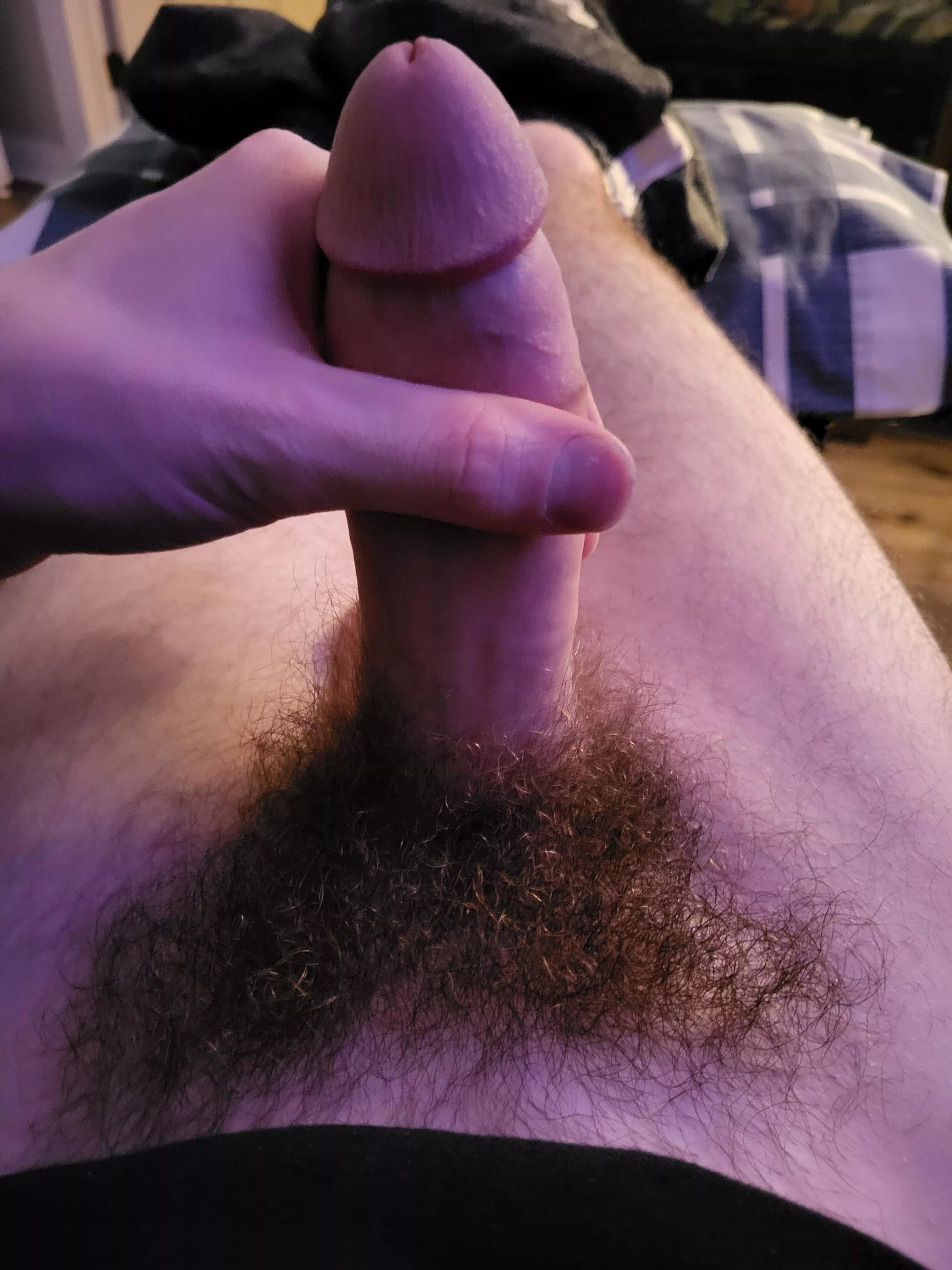 My bush is becoming my favourite feature posted by Double-Win305