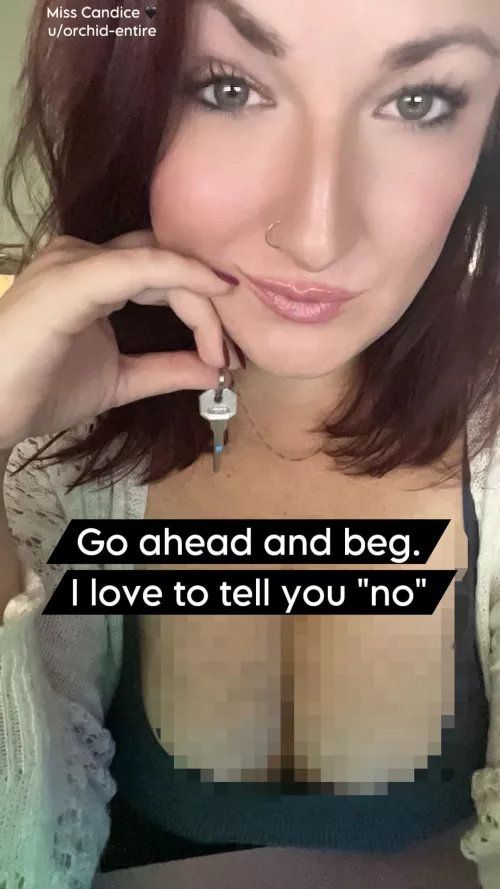 “No” is the most used word in my vocabulary 🫦 🔒  by Orchid-Entire