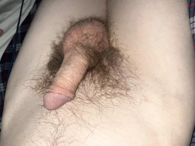 Soft by No_Reward_2865