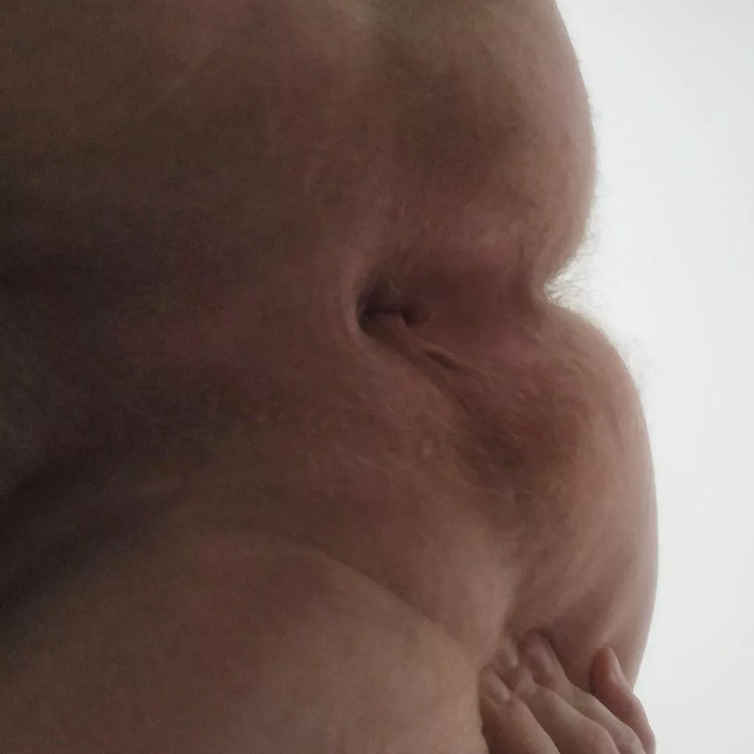 Tasty  posted by stanhornets