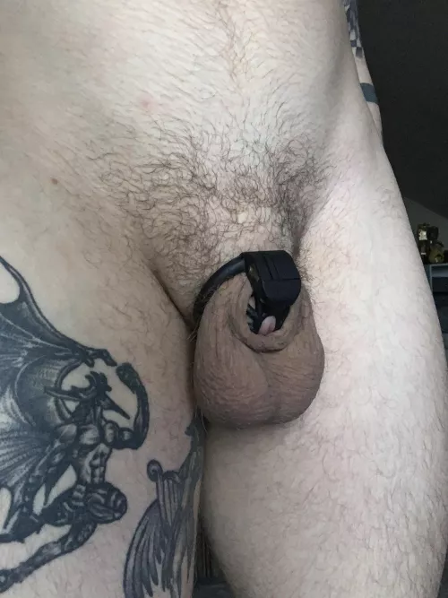 Tiny nub, fat balls! by Murky_Question9362