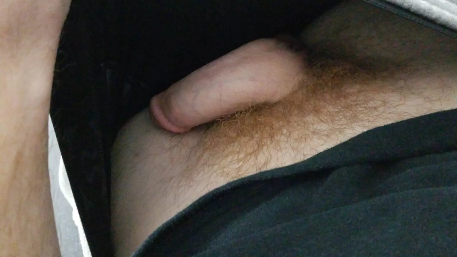 Would you reach down my pants for a handful of this? posted by glc23