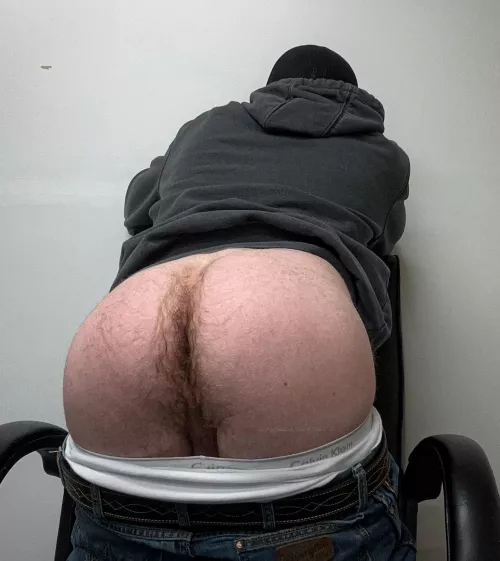 (21) Just a cub being bored in the office, anyone wanna chat? by Aggressive_Dot_4722