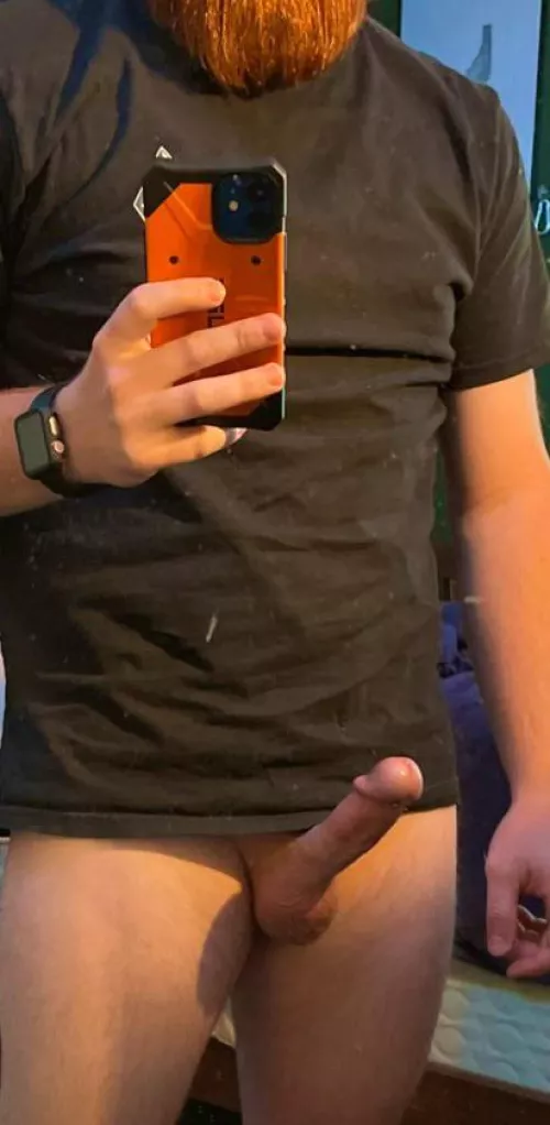 31 Hairy-ish ginger. Looking for dirty chats, naughty fun, kink sharing, p*rn trading, and bro time. I’m a dominant guy into masc men subbing. Think you can make me horny? Sc ginger_pnw by Playwithmycarrot