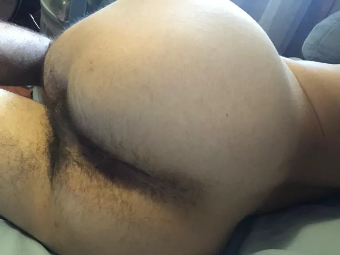 31, suck my dick and lick my ass by tallFitGuy99