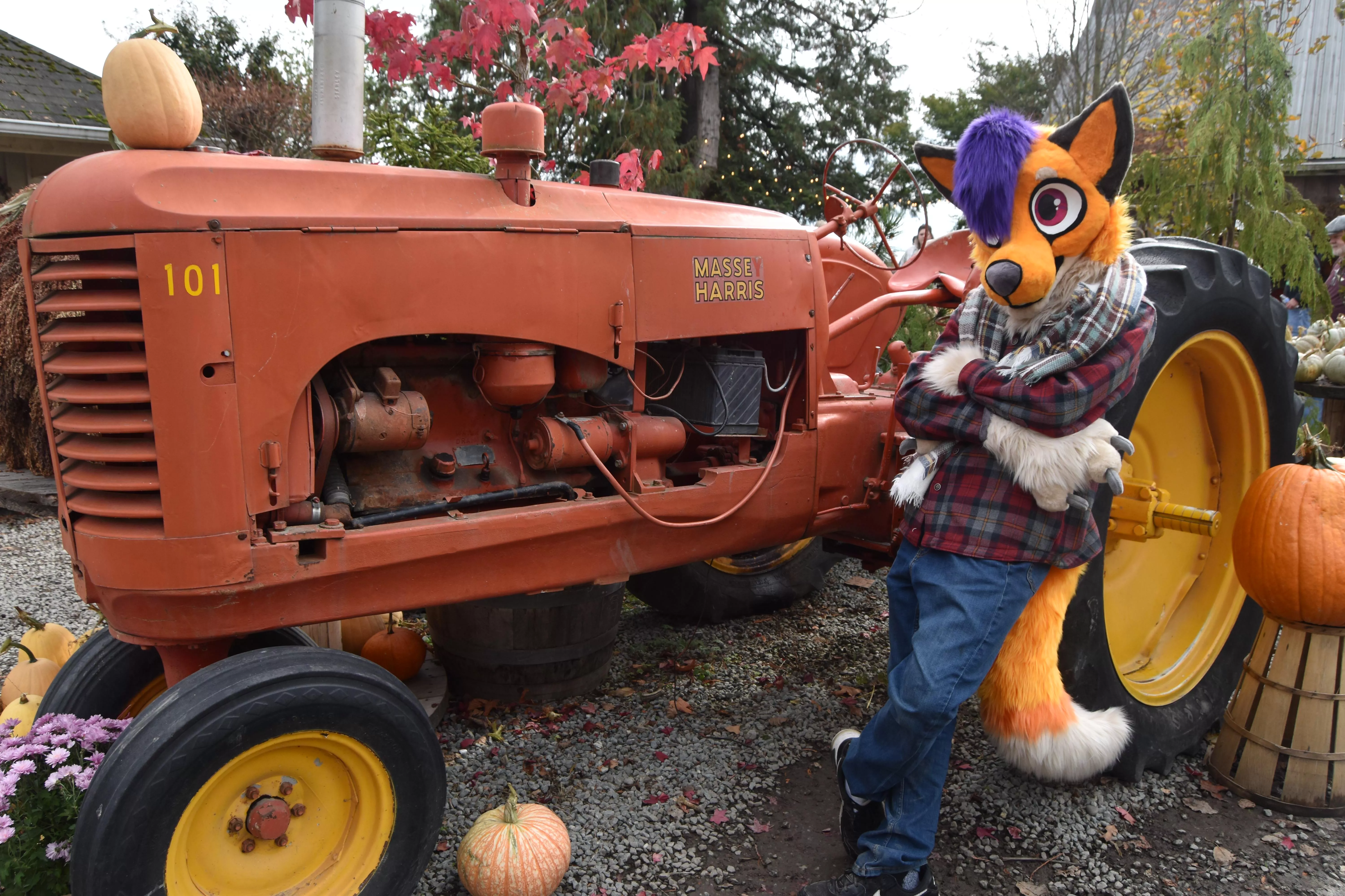 Continuing my daily fursuit posting posted by Onedeadlymouse