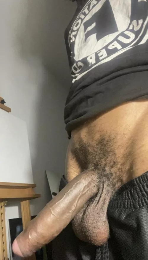 do u like it or no by lilassshortbus