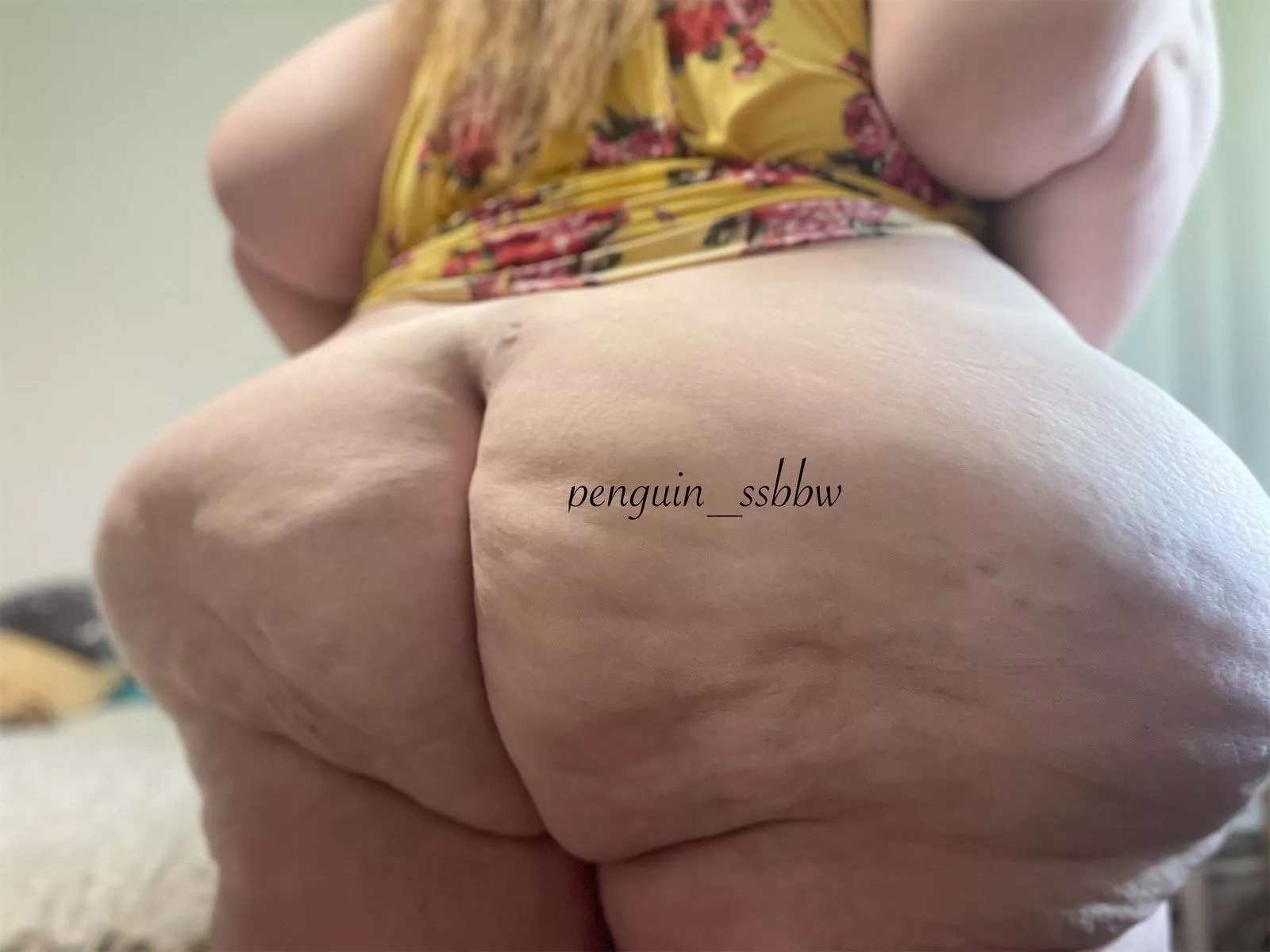 Fat and fabulous  posted by penguin_ssbbw
