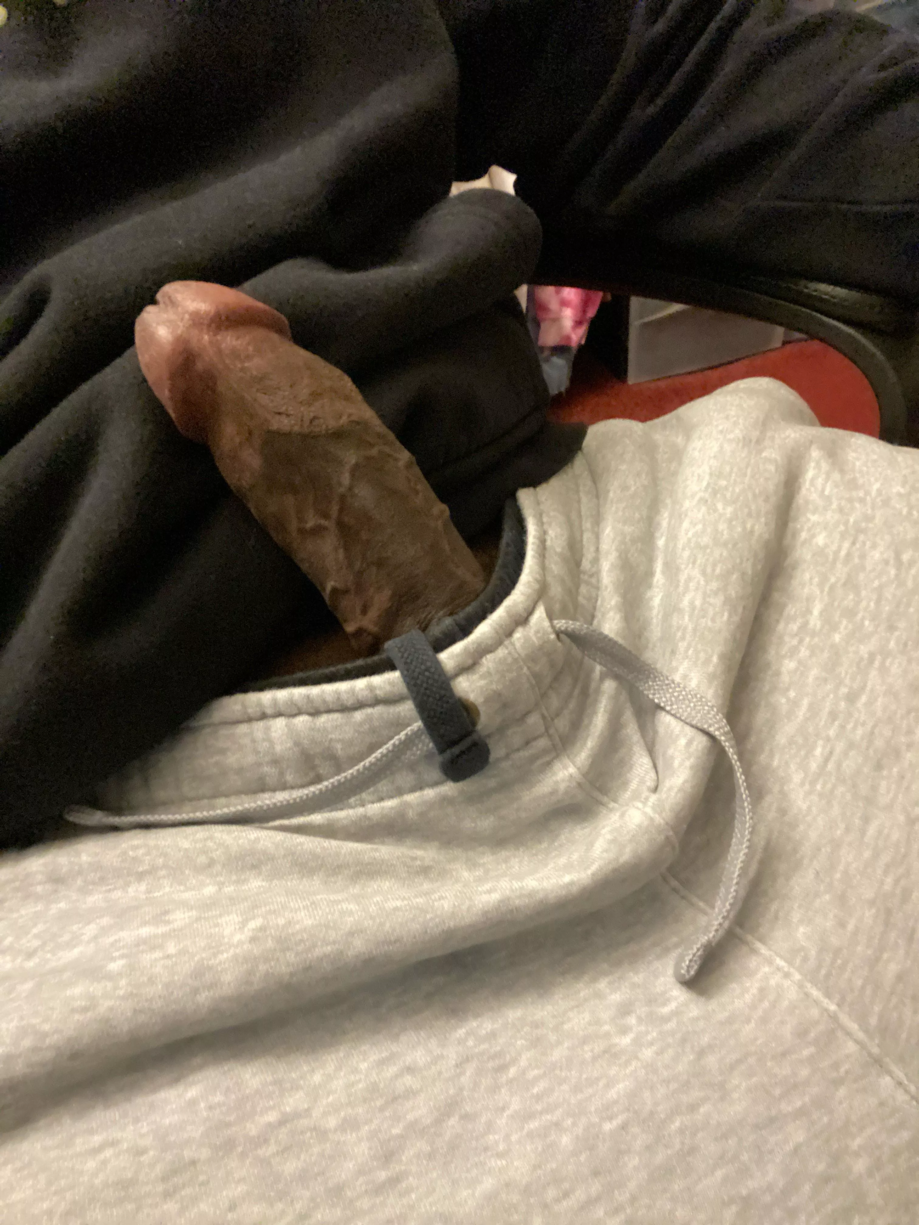 Just peeking out  posted by Dikachan