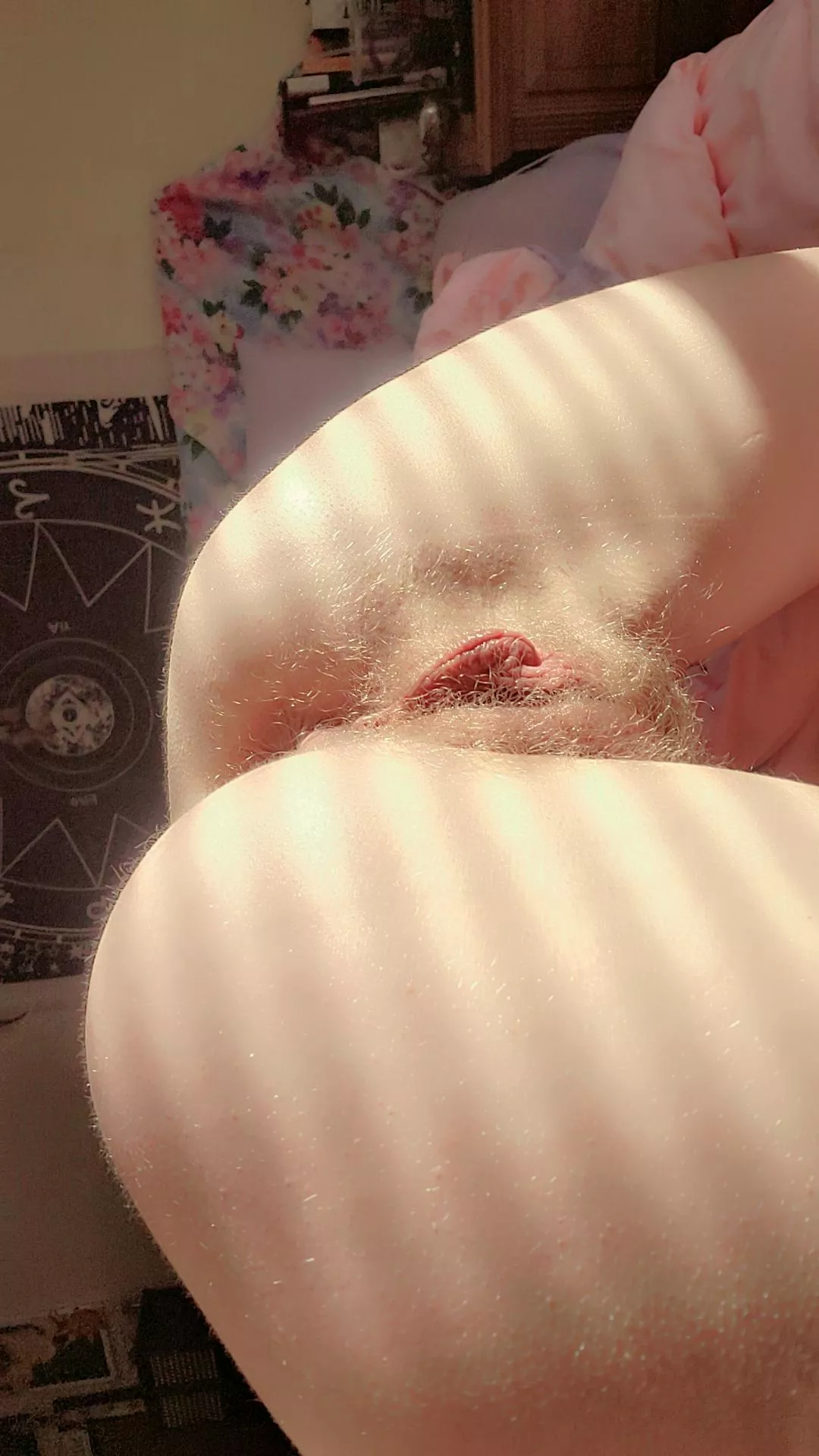 Laying in the warm sunlight  posted by ardentililia