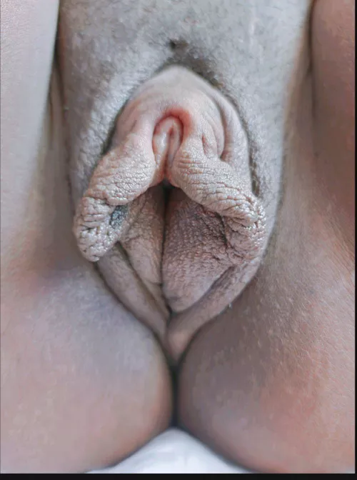 Meaty close up (not OC) by PeepingPenny