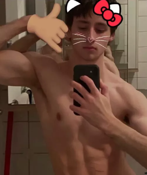 meow who want me by adimeowski