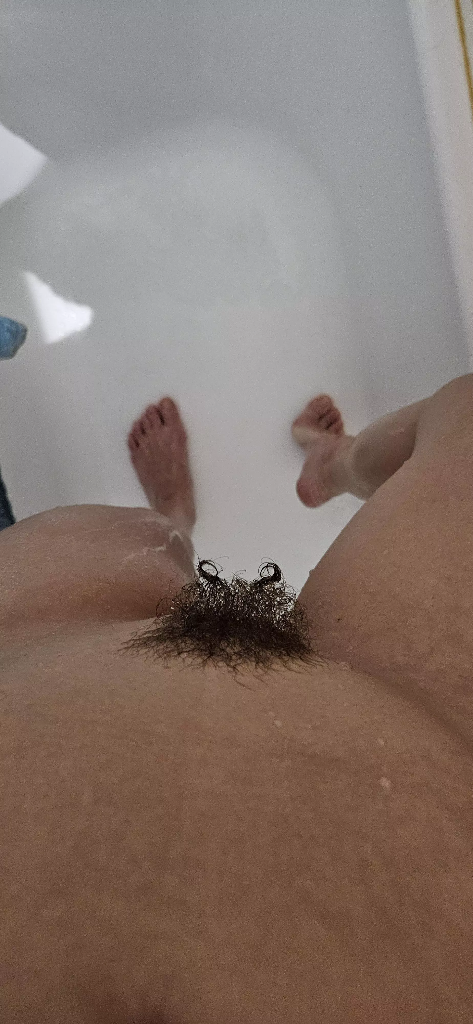 my bush has horns posted by FirstAd8883