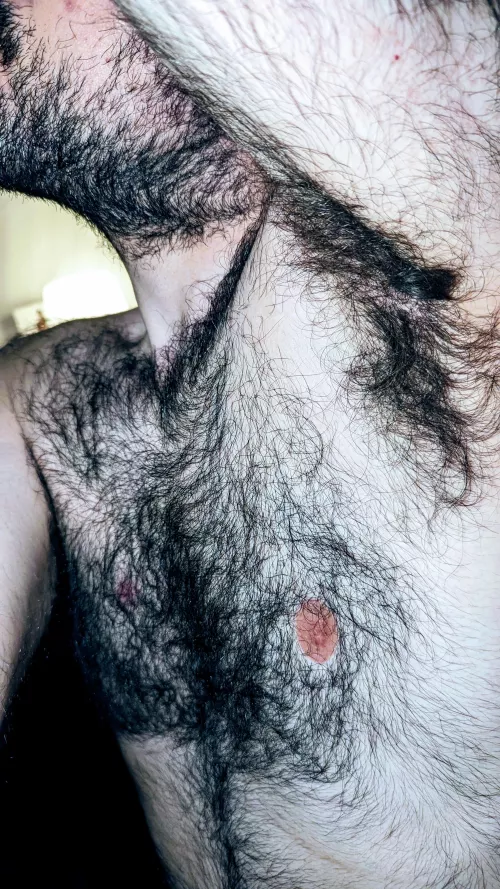 (Not) Extraordin-hairy by Anxious_Ananas_643