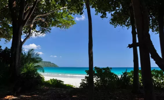 Radhanagar Beach, India posted by bennett_christine