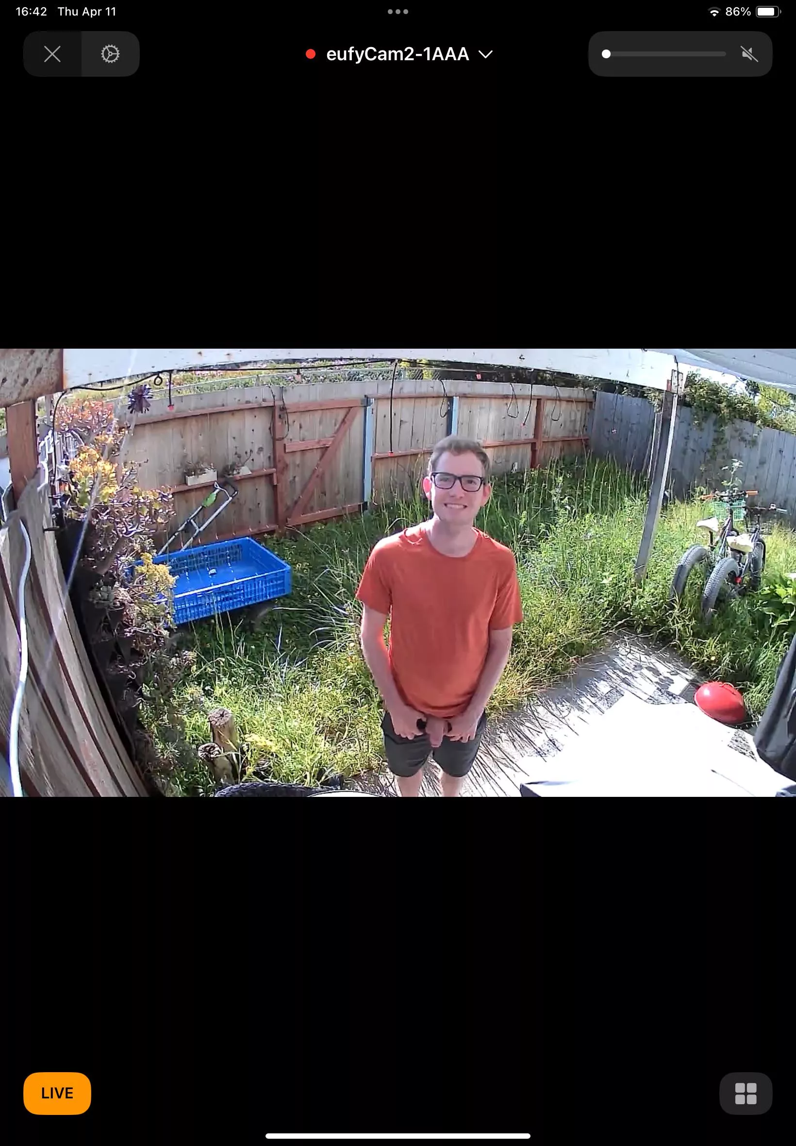 Someone is flashing the backyard security cam. posted by KestrelSF