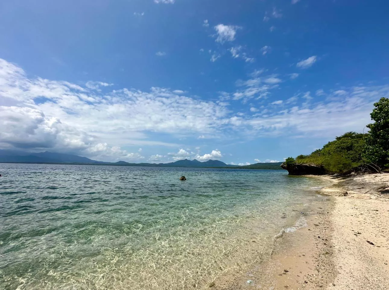 West Bali National Park posted by No_Rule_1392