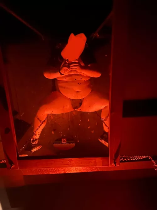 Would you breed me in this sling? by cumhungrybhm