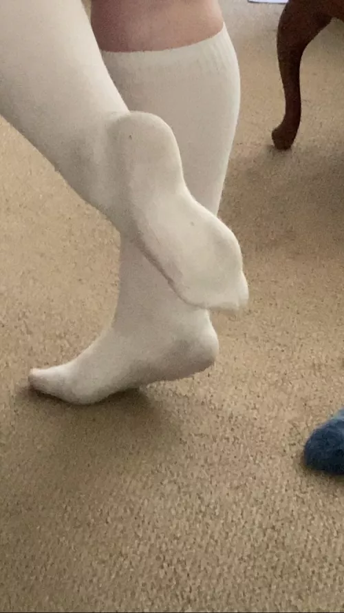 21 F , full day of wear. by lemonslace