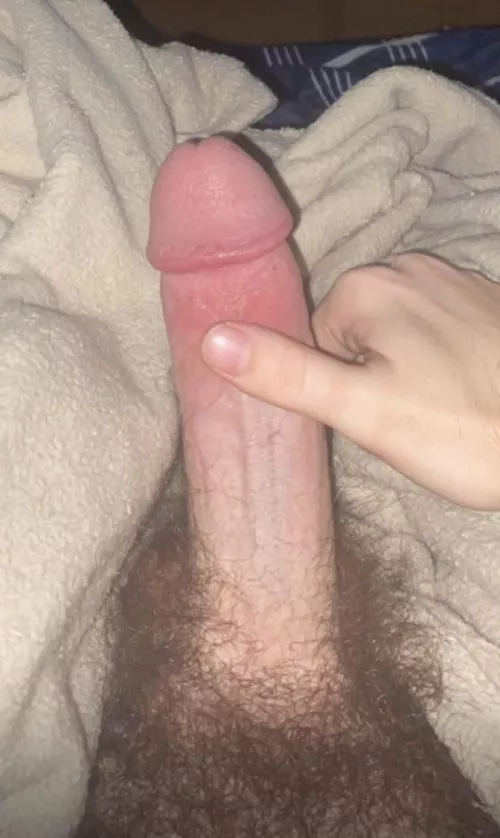 22 morning wood hmu by TheseProfessional156