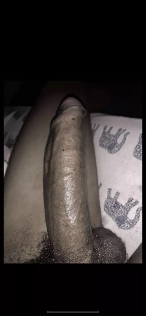 Come feed this bbc sluts by kinggggnew2