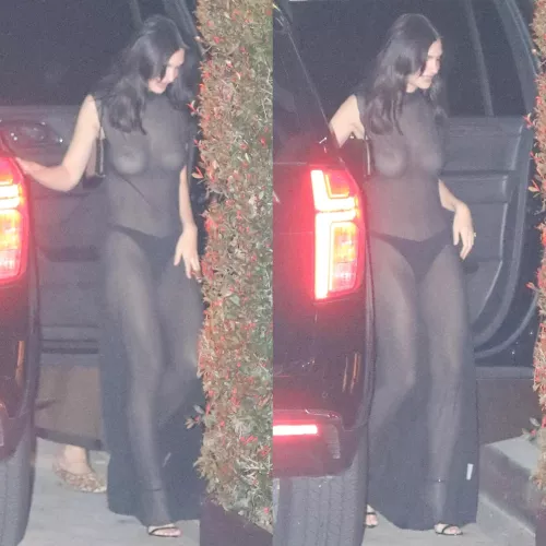 Emily Ratajkowski See Through by younghawthollywood