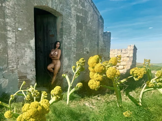 Found an abandoned building out in a field! by AdventureJuntos