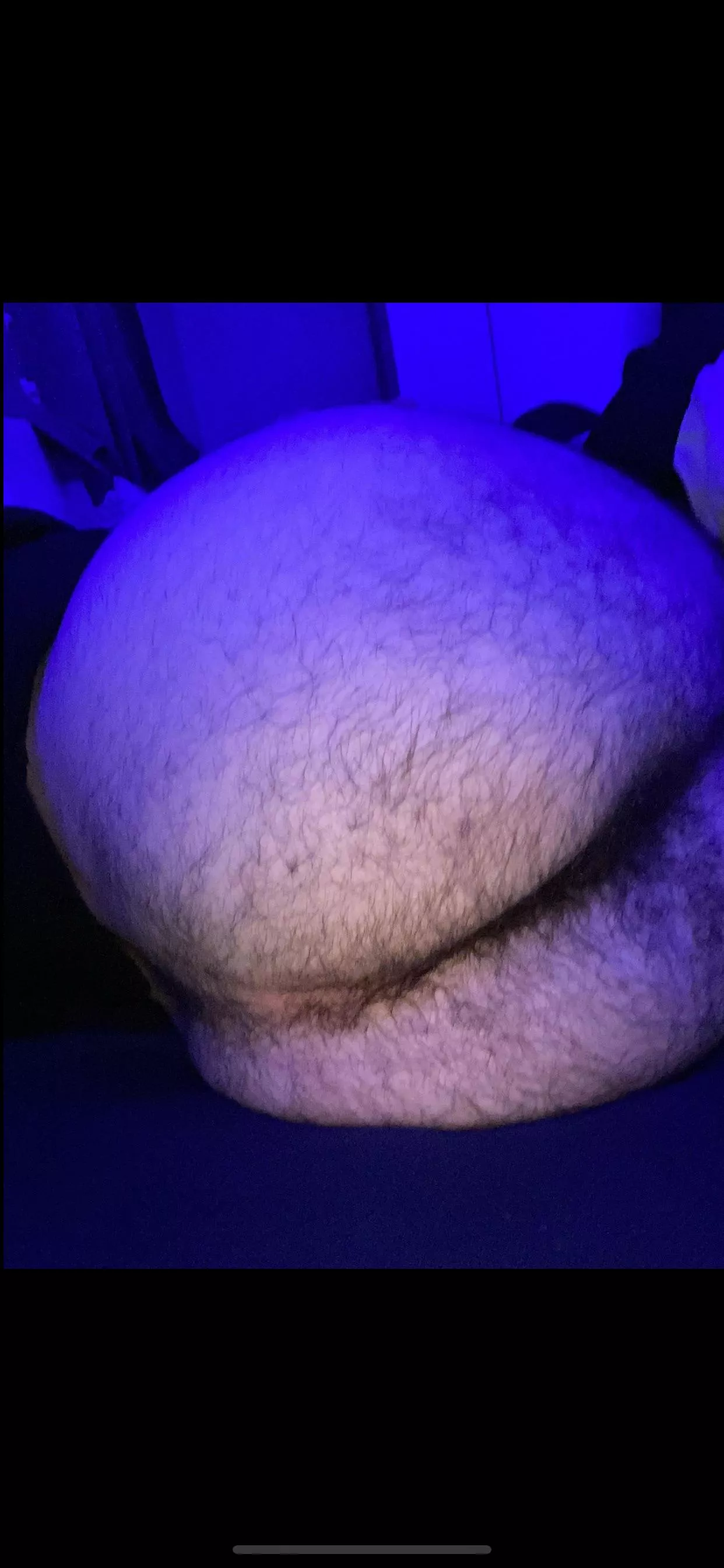 hairy enough? posted by Individual-Storm-157