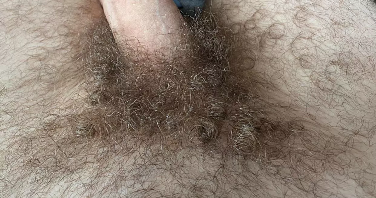 Hairy middle eastern curly pubes posted by artpop17