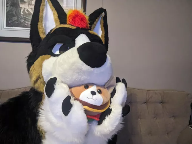 I can has cheesecorger? by WolfinCorgnito