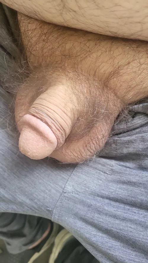 I'm new please be kind by Old_Set_2287