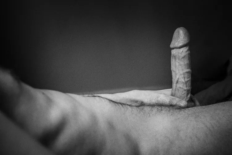 Lazy Day  by Mysterious-Draw-1954