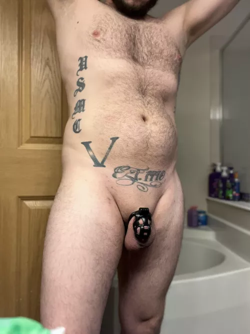 Locked and loving life.  by thesubmissivedom