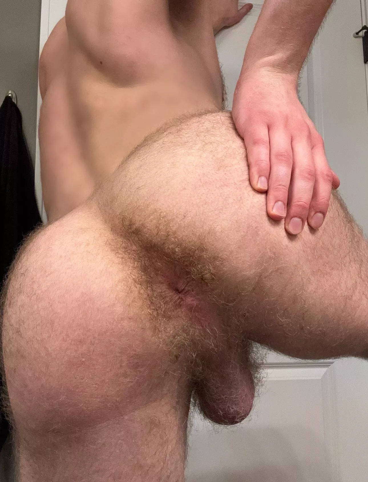 Should I shave it? posted by hiuser987651234