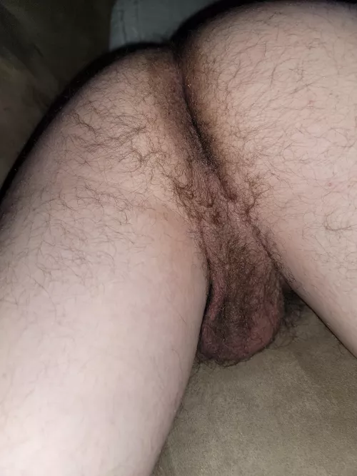 Shy fun by Lost-Huckleberry8461