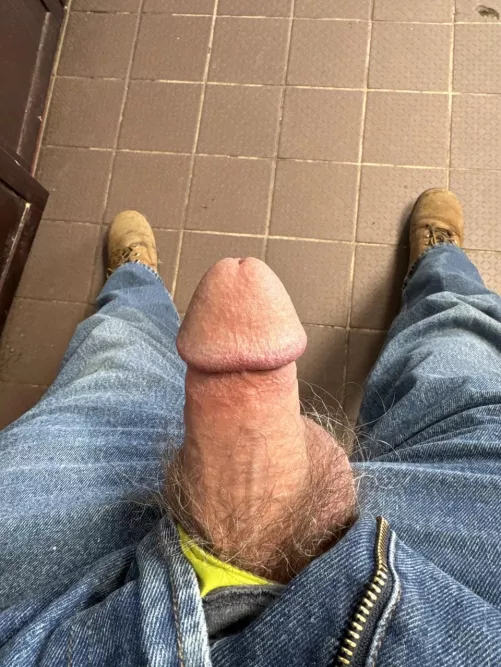 What ya think? by Rude-Welder-5097