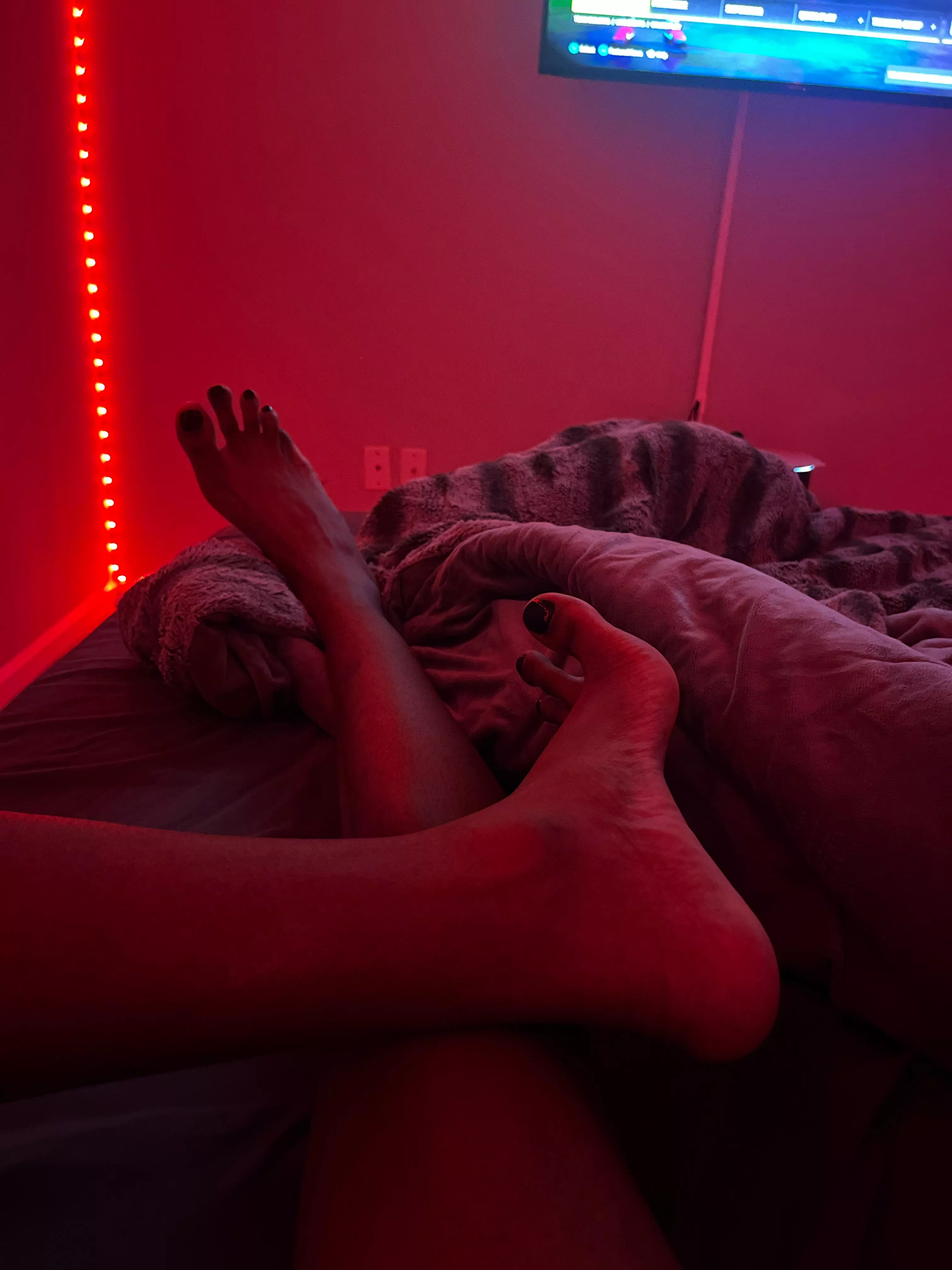 Who’s up and would sniff while I play the game? 🥰🐽 posted by 88buss