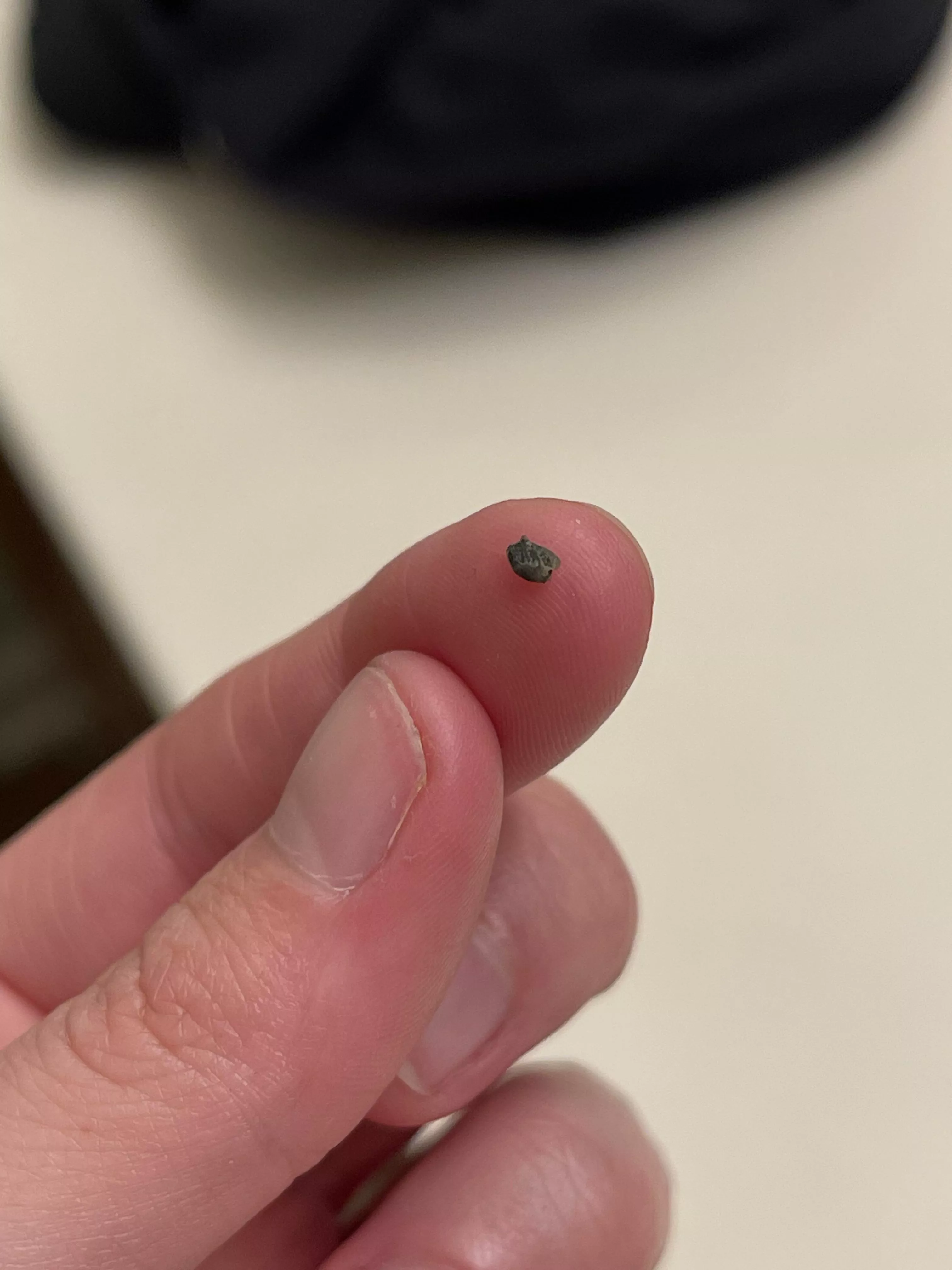 Black chunk squeezed out of ear piercing hole posted by General-Ad-712